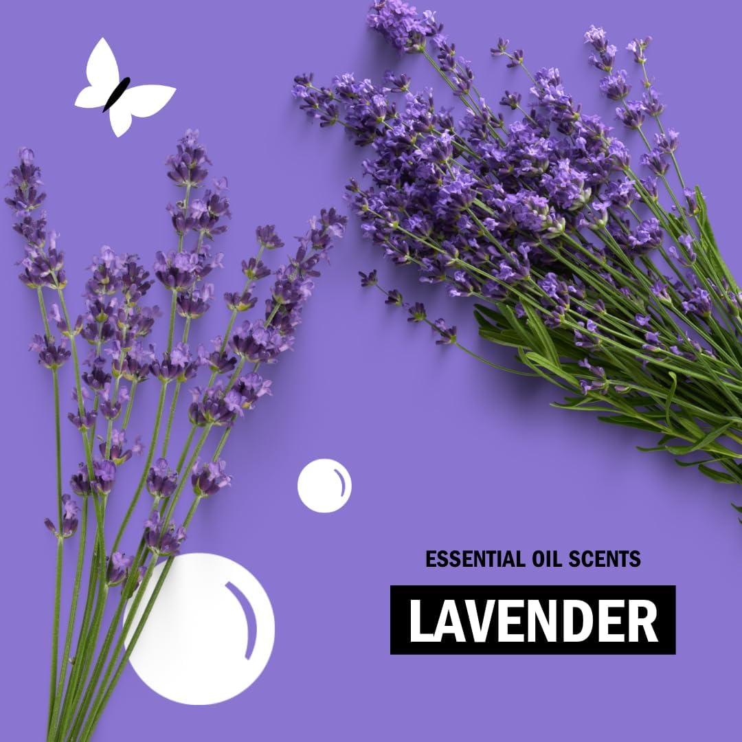 Molly's Suds Liquid Laundry Detergent | Clean Laundry Detergent Soap for Sensitive Skin | 2x Concentrated, High Efficiency (HE) (Lavender - 200 Loads)