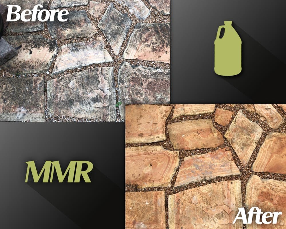 Bad Axe MMR Instant Mold Stain and Mildew Stain Remover - Professional Strength, Contractor Grade Cleaning Solution, Professional Quality Formula, Odor Removal, (1) Gallon & (1) 32oz