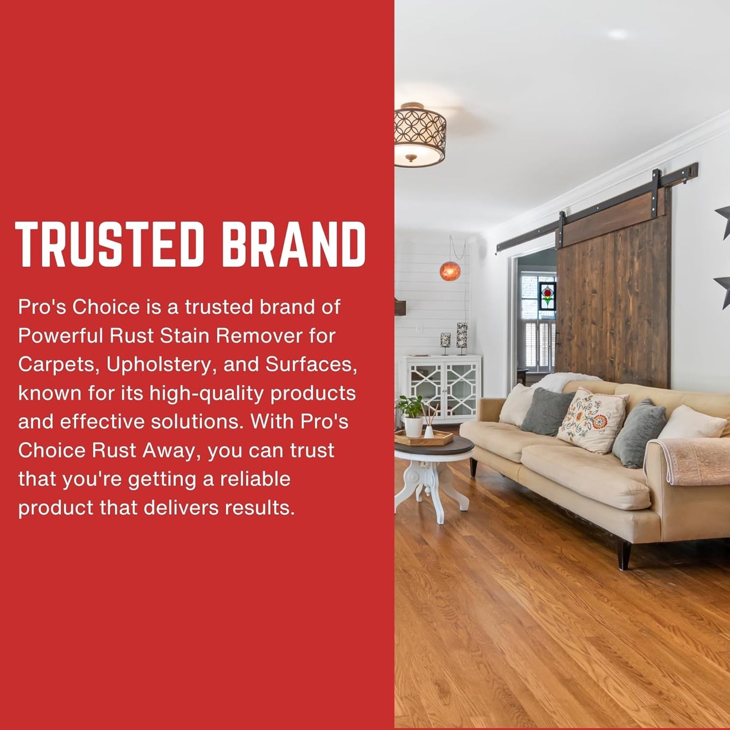 Pro's Choice Rust Away Rust Remover - Powerful Stain Remover & Rust Cleaner - Rust Stain Remover for Carpets, Upholstery, and Surfaces - Bathroom Stain Remover for Multiple Surfaces (16 fl. oz)