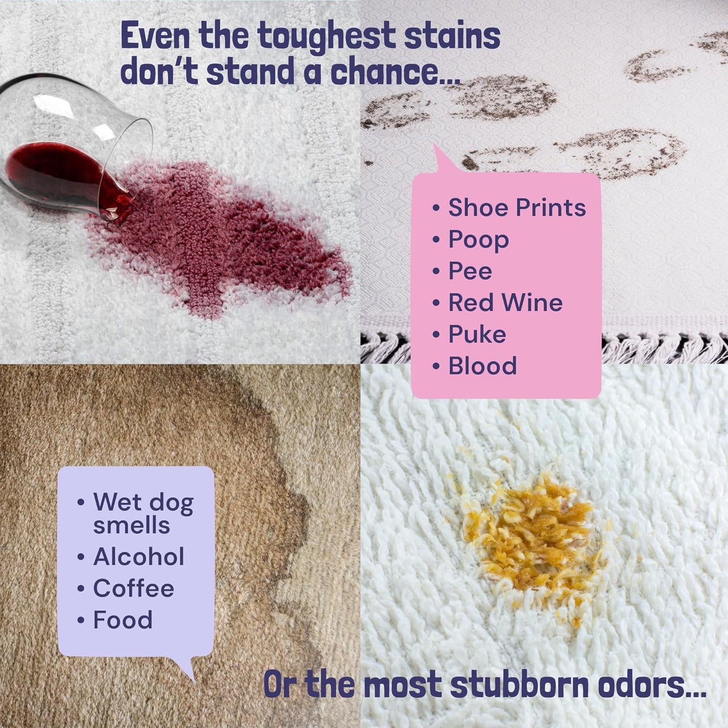 Sunny & Honey Carpet Cleaner Shampoo - 128 Fl Oz, Light Lavender Scent - Pet Stain Remover & Odor Eliminator - Rug Cleaner & Upholstery Cleaner Solution for Machine Use